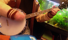 Cours particuliers de banjo